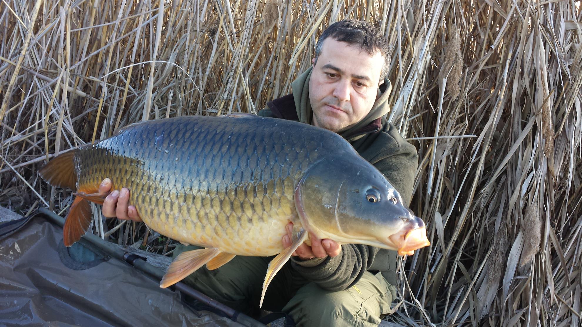 Tancabesti 14 - 16 mar. - 2014-03-16-083406.jpg